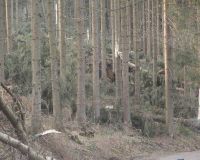Giesmecke5