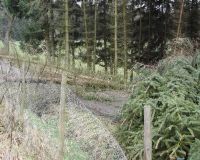 Siedlung9