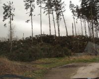 Siedlung11
