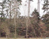 Siedlung7