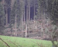 Hellefelder_Hoehe01