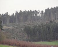 Hellefelder_Hoehe02