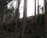 Rietbuesche07